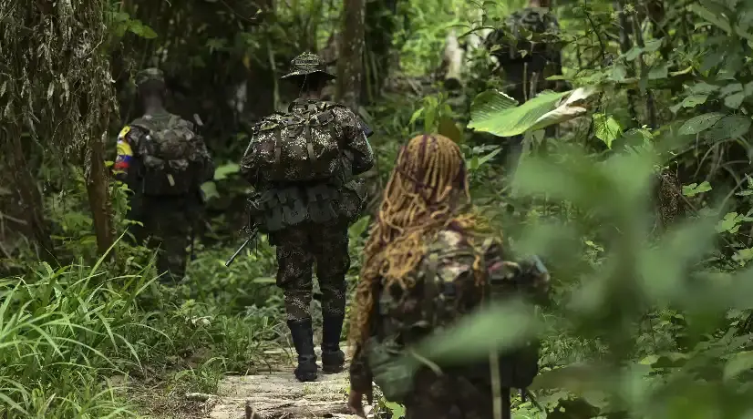Disidentes de las Farc en medio de la selva colombiana. Foto: AFP