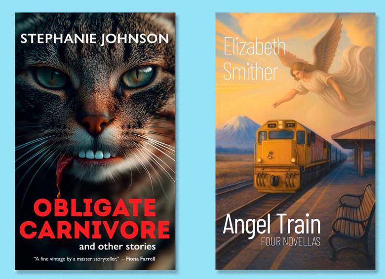 Estas son las portadas que hicieron que las autoras fueran sacadas de la competencia.