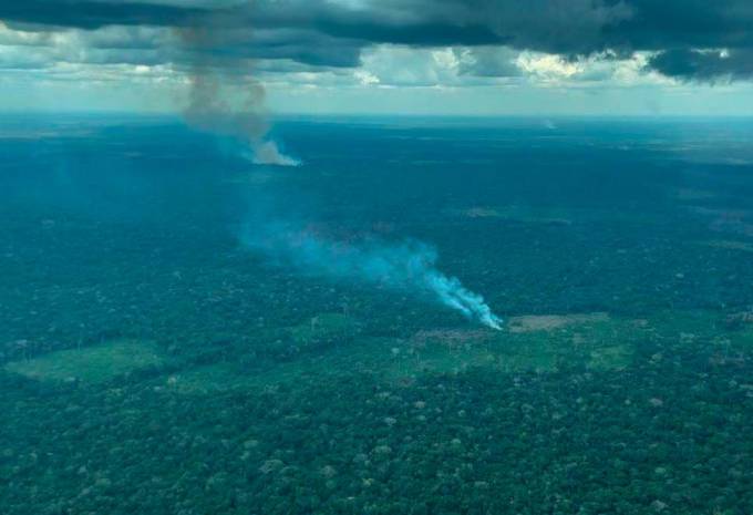 Contraloría denuncia que hay una “masacre ambiental” por la deforestación en Colombia