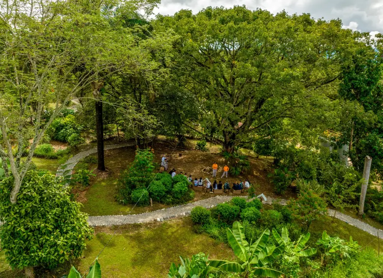 La diversión familiar en actividades al aire libre son el mayor atractivo del nuevo parque. FOTO: CORTESÍA COMFAMA
