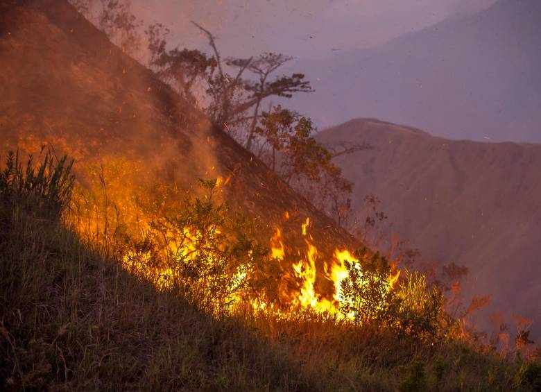 Durante los últimos días, varios incendios han puesto en alerta a por lo menos ocho municipios antioqueños. FOTO ARCHIVO: JUAN ANTONIO SÁNCHEZ OCAMPO