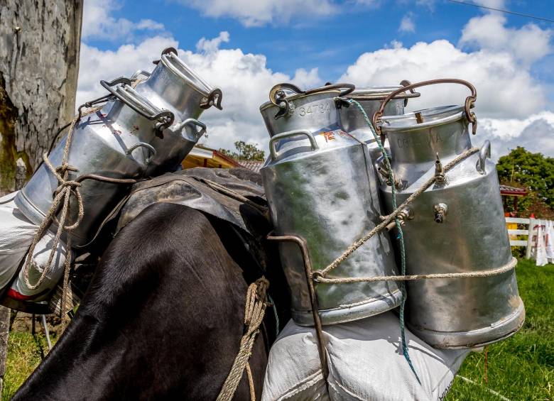 El sector lácteo cuenta con acceso para sus productos en destinos como Perú, Chile, Costa Rica y Cuba. Foto: Juan Antonio Sánchez Ocampo