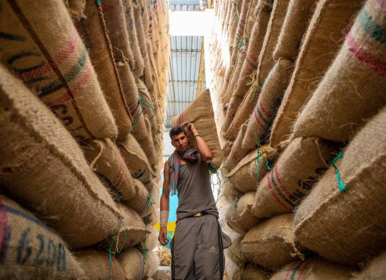 En agosto se presentó una disminución del 30,3% en las exportaciones de café. FOTO CAMILO SUÁREZ