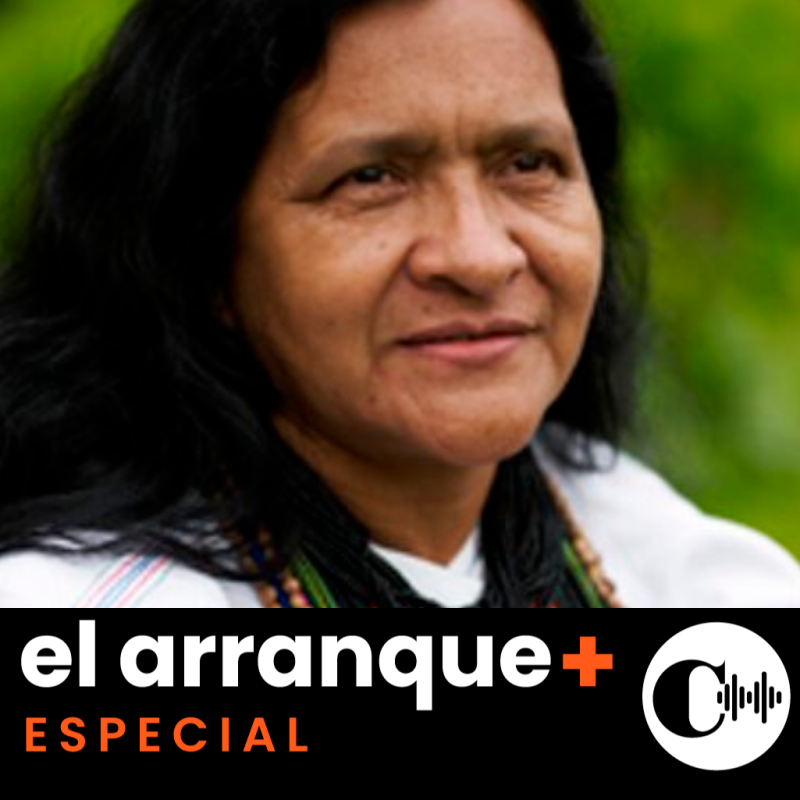 Escuche: hablamos con Leonor Zalabata, primera embajadora indígena de Colombia ante la ONU