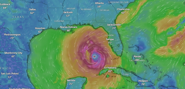El huracán Milton en tiempo real a las 7:00 de la mañana del 9 de octubre, acercándose a Tampa. FOTO: Windy
