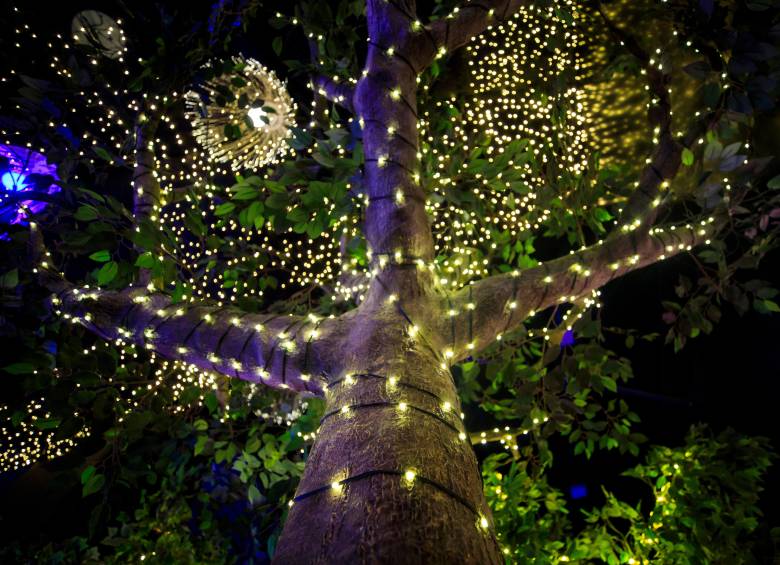 El Tesoro, Parque Comercial. Los centros comerciales de Medellín y el Valle de Aburrá han asumido un papel protagonista, transformándose en verdaderos templos de luz, color y actividad, ampliando la oferta de entretenimiento festivo para quienes buscan disfrutar de un ambiente seguro, cómodo y completamente inmersivo. Foto: Camilo Suárez Echeverry