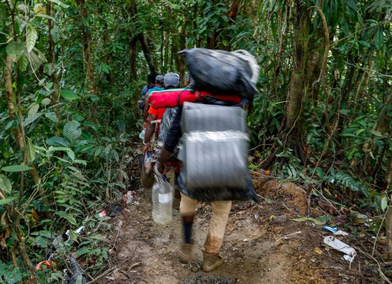 La agreste selva fue protagonista de este trabajo de EL COLOMBIANO. FOTO: MANUEL SALDARRIAGA