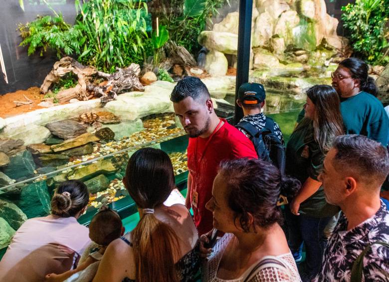 El Vivario del Parque Explora reabre sus puertas