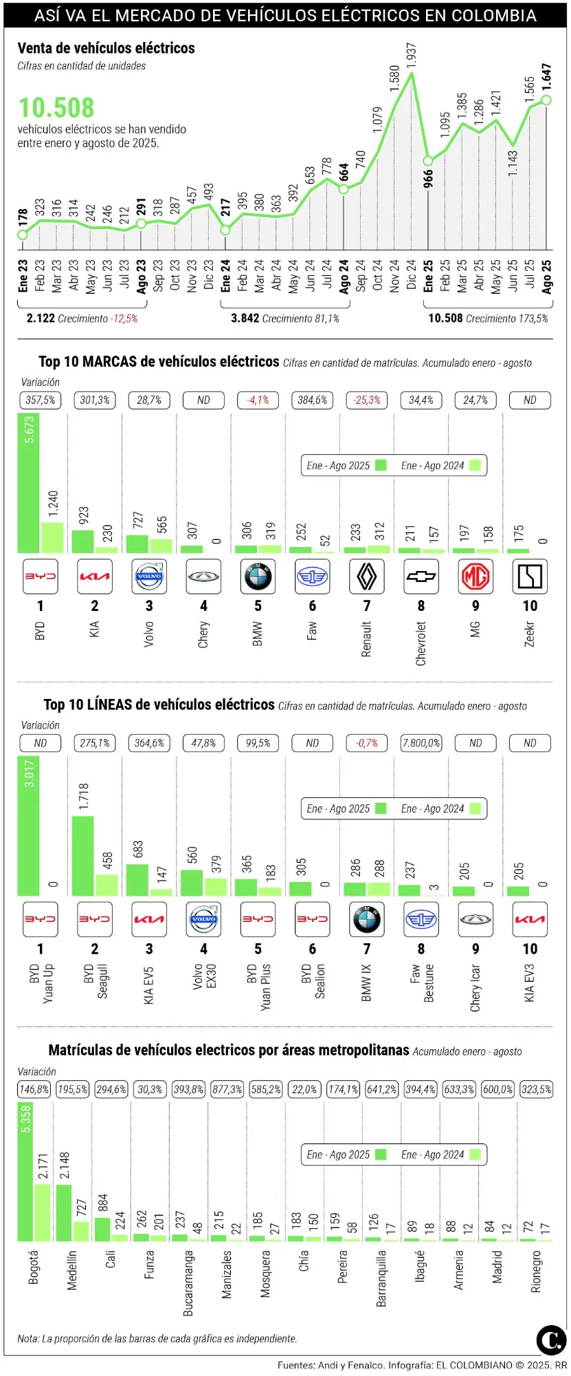 InfogrÃ¡fico