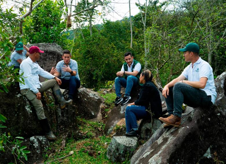 Masbosques y Bancolombia trabajan juntos por la conservación