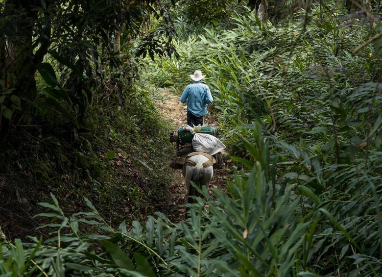 El dúo dinámico recorre los recovecos de la montaña. FOTO: MANUEL SALDARRIAGA