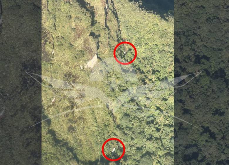 La Fuerza Aérea, en un sobrevuelo, ubicó el sitio exacto donde se accidentó la aeronave que había salido el domingo pasado desde Condoto, Chocó. Foto: Fuerza Aérea