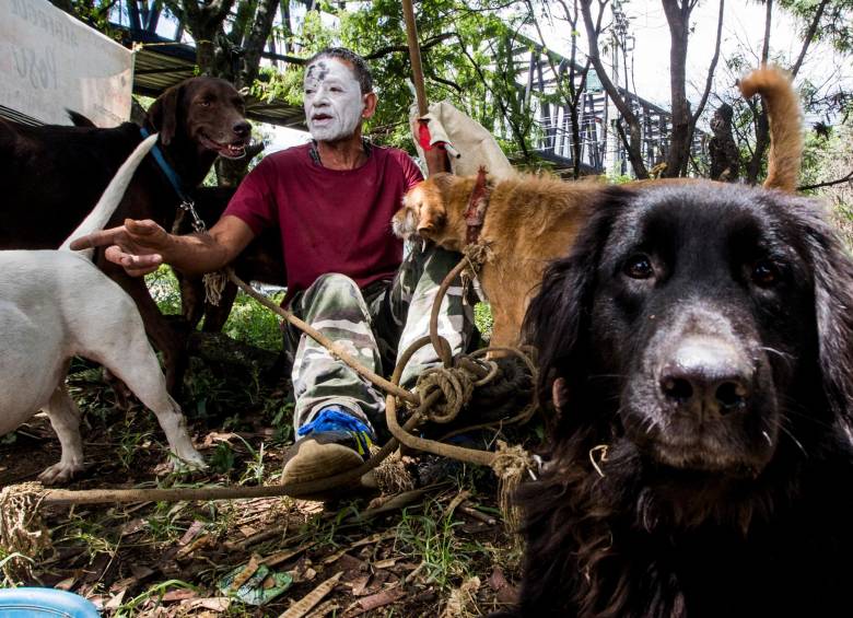 Son 13 perros los que tiene Jaime Alberto en el Albergue Positivo; siete están en adopción. FOTO julio herrera
