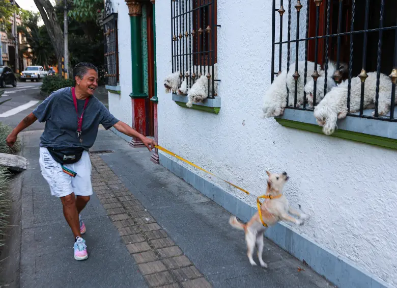 Este 21 de julio se celebra el Día Internacional del Perro. FOTO Manuel Saldarriaga
