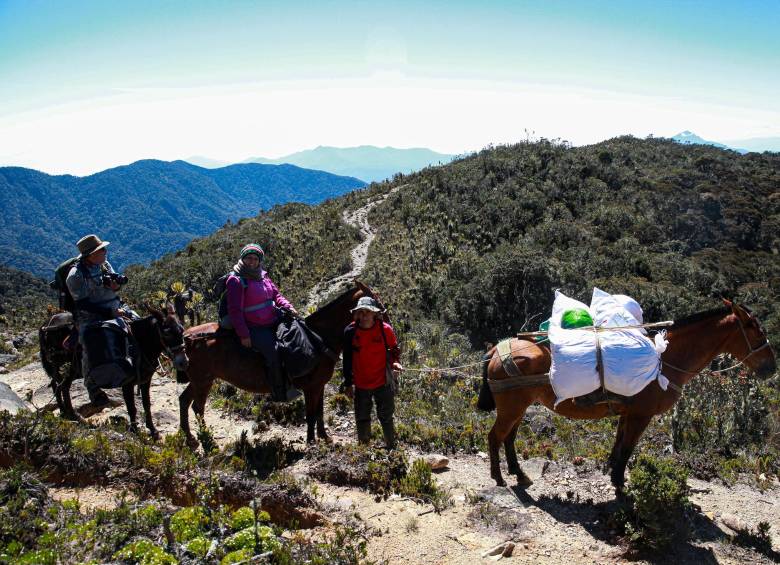 El Premio busca visibilizar las historias que tratan de narrar un país posible a través de la sostenibilidad social y ambiental. La imagen corresponde al Páramo de Urrao. FOTO: MANUEL SALDARRIAGA