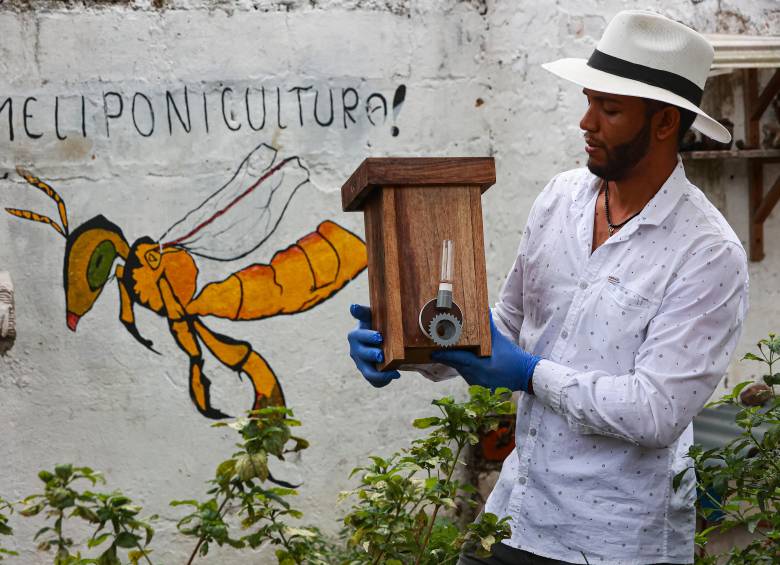 Juan Pablo Villa es el fundador de El Zángano, un meliponario en Venecia, Antioquia. FOTO manuel saldarriaga