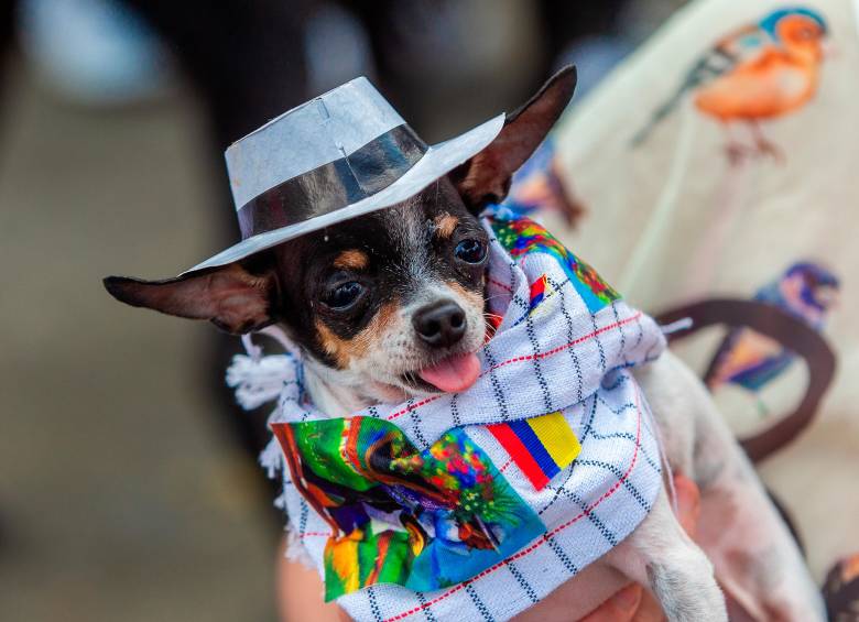 Esta caminata es una de las más tradicionales. FOTO Camilo Suárez