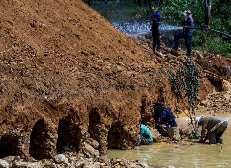En Antioquia, las subregiones del Bajo Cauca y el Nordeste concentran la mayor parte de la minería informal, principalmente de oro. FOTO Julio César Herrera