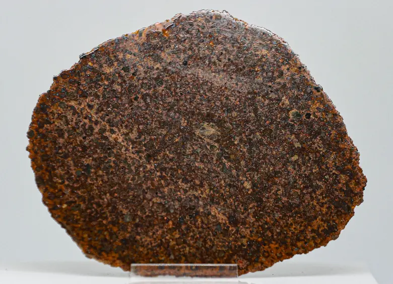 Viajan millones de años por el espacio y terminan en Medellín: así es la colección de meteoritos de la Universidad Nacional