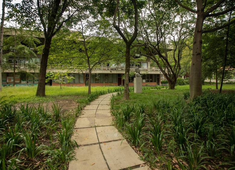 El campus de la UdeA se transforma en un laboratorio vivo para el estudio de la ecología urbana. FOTO: Camilo Suárez