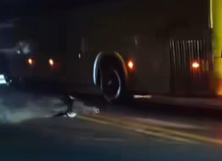 Bus chocó contra varios animales dejando dos muertos y uno herido en Urabá. FOTO: Cortesía Redes sociales