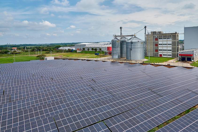 Colombina es una de las compañías comprometidas con reducir de forma importante su huella de carbono. FOTO CORTESÍA