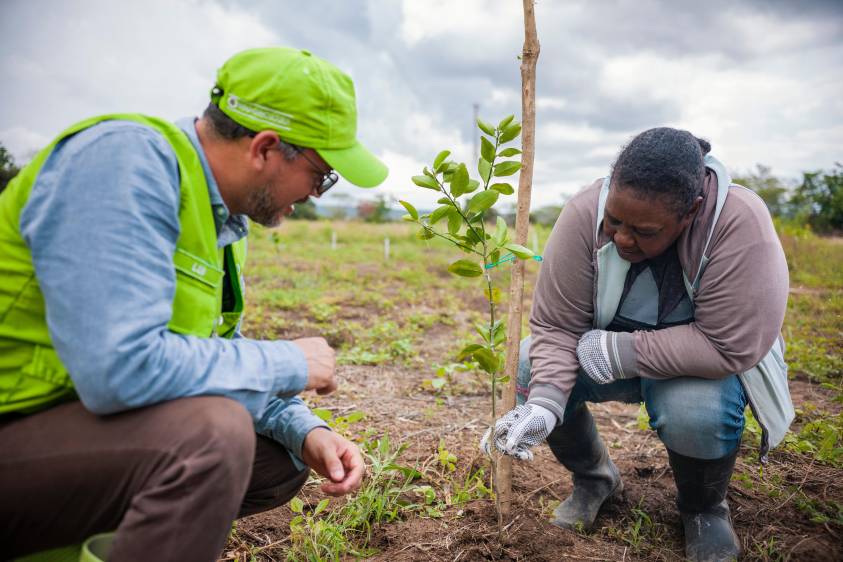 Uno de los casos de éxito es el del Banco Agrario, el cual ha venido promoviendo la conservación del medio ambiente a través de líneas de créditos verdes. FOTO CORTESÍA