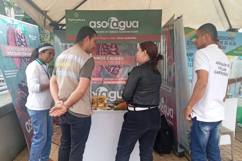 El cacao también se consolidó como una alternativa productiva para familias que fueron víctimas del desplazamiento forzado. Foto: cortesía