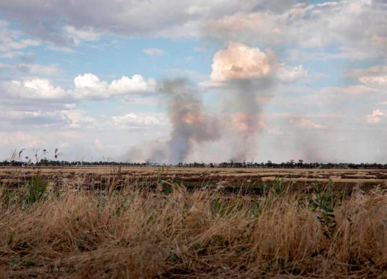 Ucrania y Rusia son responsables de alrededor del 30% de las exportaciones mundiales de trigo. FOTO: EFE
