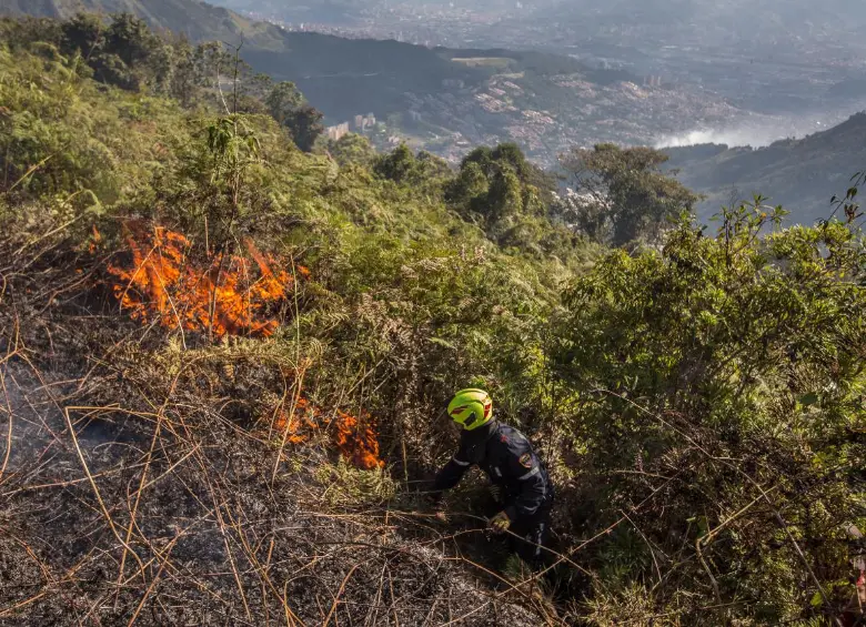 Las autoridades advierten sobre mayor riesgo de incendios forestales, reducción de caudales, afectaciones a la salud pública y presión sobre el suministro de agua y energía. Foto: cortesía Alcaldía de Medellín.