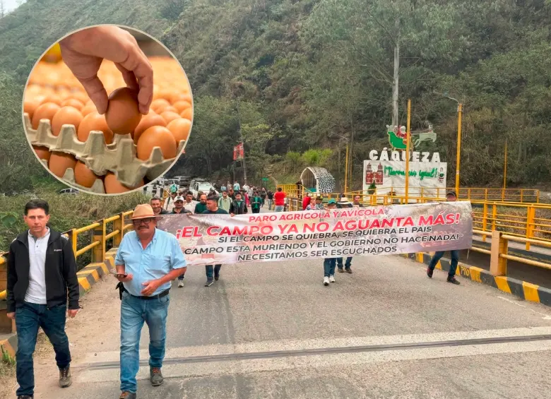 Campesinos aseguran que hay una crisis del huevo. FOTO EL COLOMBIANO Y FOTO TOMADA DE X (@Marovaan).