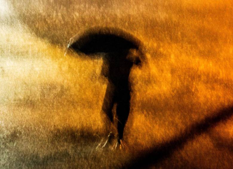 La foto del mes: febrero 2022