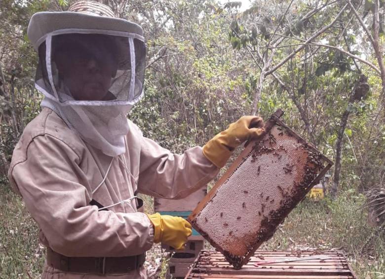 César Echeverri Mejía ha sacado adelante Bosque Katío junto a sus hijos, esposa y nuera. Foto: Suministrada a EL COLOMBIANO