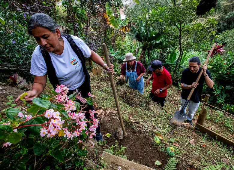 La Corporación Huerta Escuela Esther Vásuqe está ubicada en la Carrera 28 # 107 - 661 (Interior 1012) en lo alto del barrio Santo Domingo Savio. FOTO: Julio César Herrera.