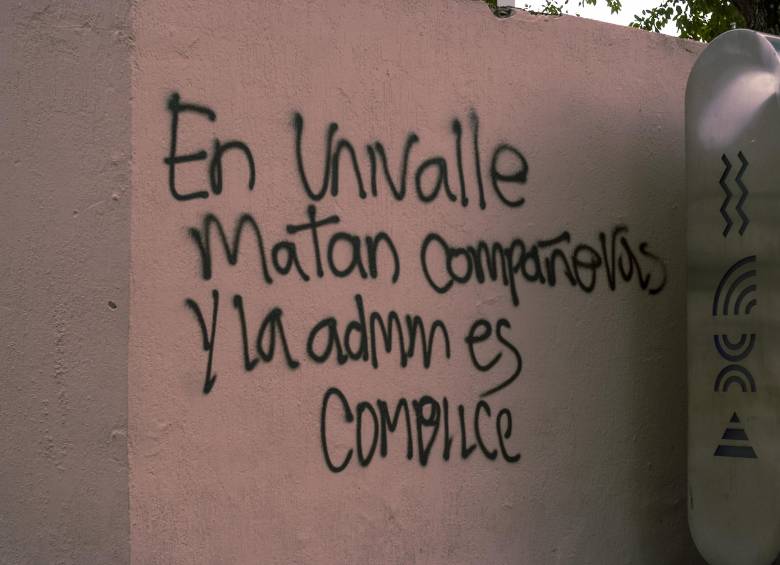 Uno de los grafitis de la Universidad del Valle. Fotos: Cortesía de Nathalia/@aguacero_visual
