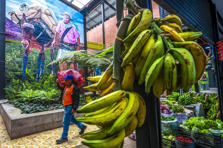 La Plaza de Mercado Antioquia en el municipio de La Ceja es uno de los lugares donde llega una cantidad importante de los productos que surgen del Oriente. Foto: Manuel Saldarriaga Quintero.