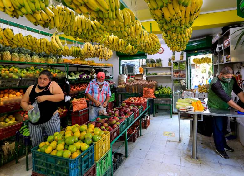 Productores de banano paisas buscan que la Unión Europea pague más por las exportaciones de la fruta. FOTO JAIME PÉREZ. 