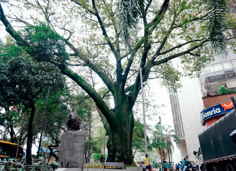 /FOTO: ALCALDÍA DE MEDELLÍN