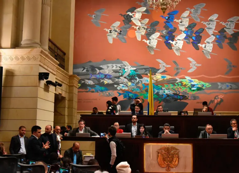 Unas 12 horas demoró el debate en plenaria de Cámara de Representantes sobre la reforma al SGP. FOTO CORTESÍA. 