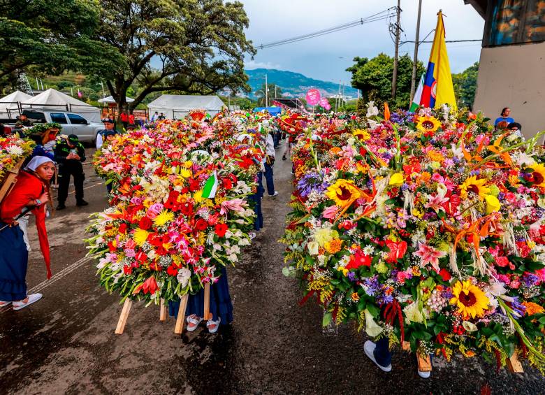 La edición 68 del Desfile de Silleteros reafirma que esta tradición, más que un evento, es una expresión viva de la identidad antioqueña que cada año florece para conquistar corazones en Colombia y el mundo. Foto: Manuel Saldarriaga Quintero
