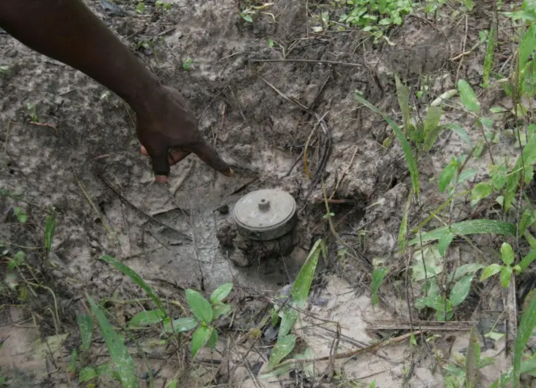 Campesino perdió un pie tras pisar una mina antipersonal en Urrao, Antioquia