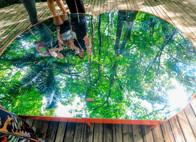 Así es Los bosques. Tejiendo lo invisible, la nueva exposición del Jardín Botánico de Medellín
