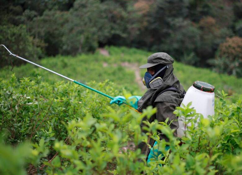 Imágenes de radicación de cultivos de uso ilícito en el sur de Bolívar. FOTO: Colprensa