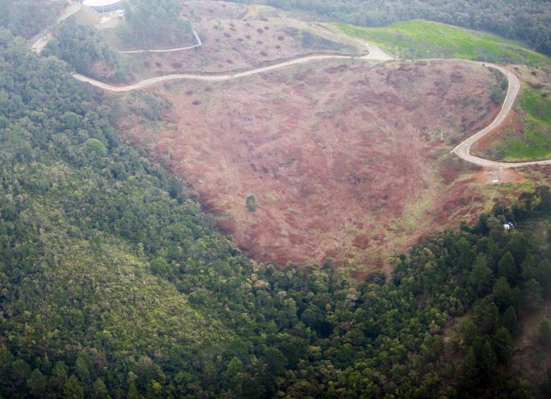 En Colombia han sido deforestadas 7.585 hectáreas en lo que va de 2022. FOTO: JUAN ANTONIO SÁNCHEZ OCAMPO