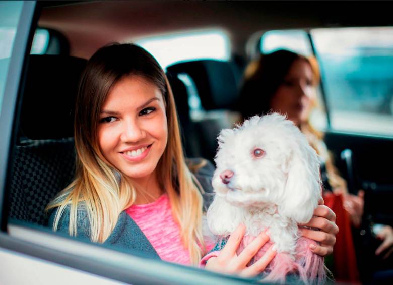 Uber Pet ya está disponible en Medellín y Bogotá. Foto Getty.