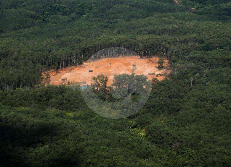 Según datos entregados por el Ideam, entre enero de 2015 y junio de 2020 se deforestaron 552.000 hectáreas de bosque primario en la Amazonía colombiana, lo que equivale a desertificar a los departamentos de Risaralda y Quindío. FOTO Esteban Vanegas.