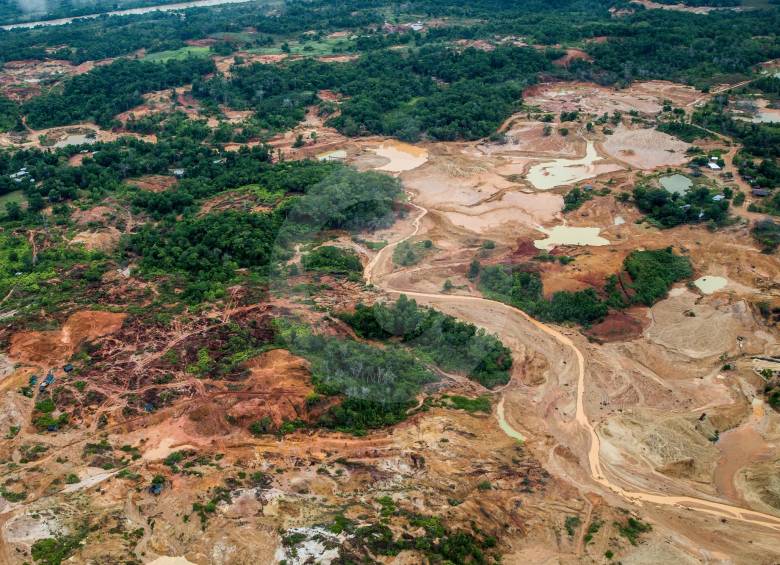 Informes de la Procuraduría desde 2018 señalan falta de control efectivo de las CAR para frenar la deforestación. FOTO julio herrera
