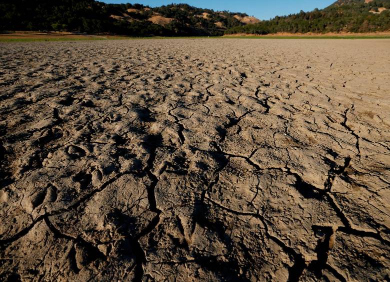 La histórica ola de calor ha generado sequías en Estados Unidos. FOTO EFE