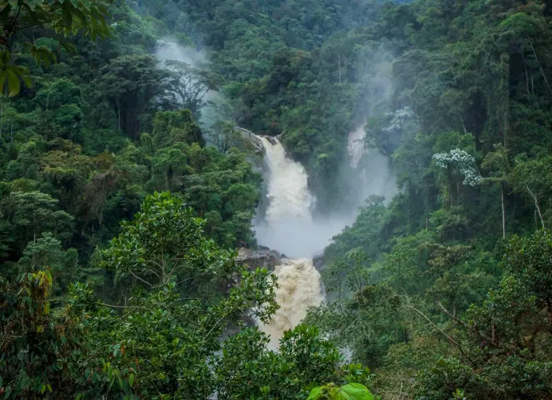 Vista de los Chorros de Tapartó. Foto: Cristina Rodríguez.