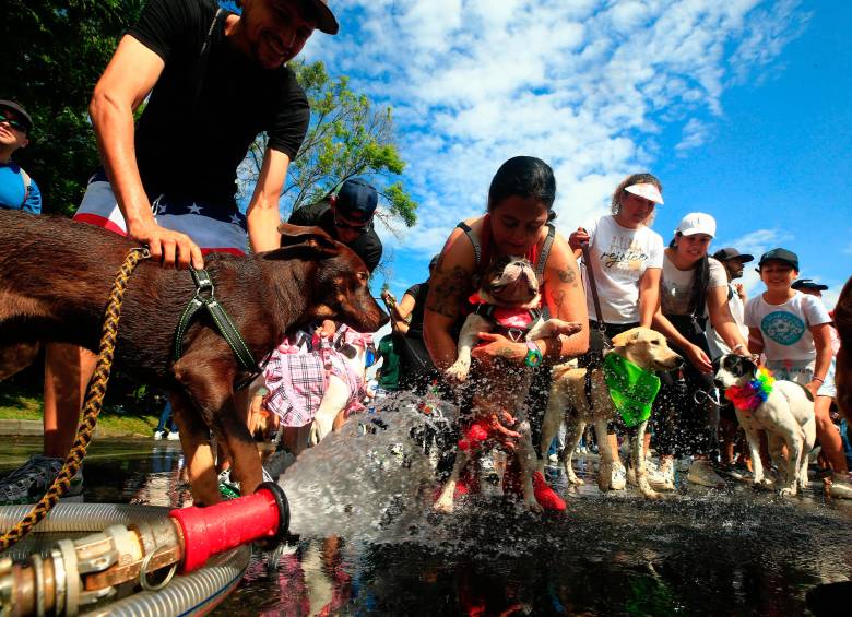 Durante el trayecto, no solo hubo espacio para la recreación, sino también para el bienestar y la salud de los animales de compañía. Foto: Camilo Suárez Echeverry